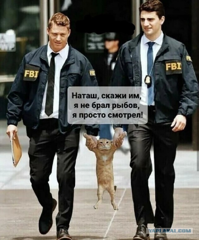Так себе картинки 26.05.22