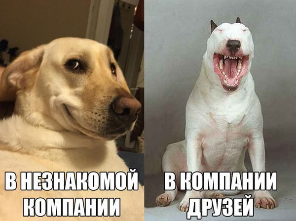 Картинки и мемы, всем хороших выходных