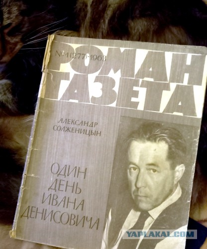Артемий Лебедев – о бесплодности эмиграции.