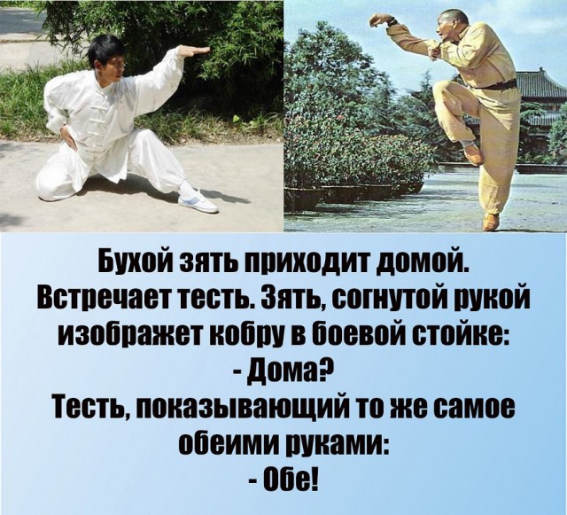 Весёлый полтишок 21.12.2022