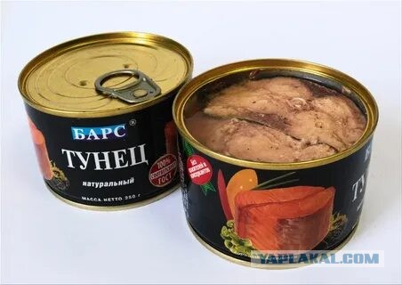 Тунец