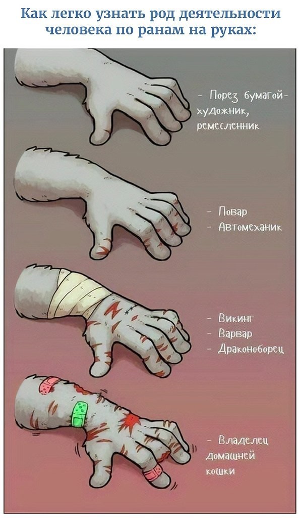 Нападение хищника на человека