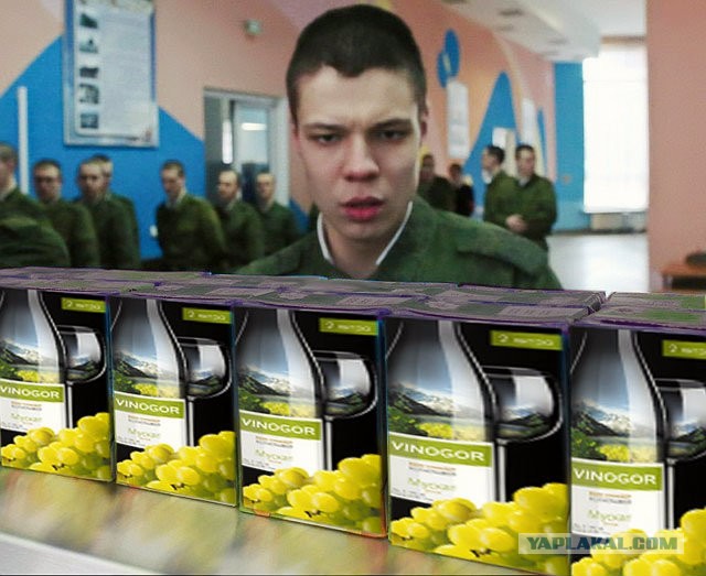 Фотожаба: удивленный рядовой