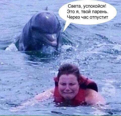 Картинок разной степени @анутости псто.