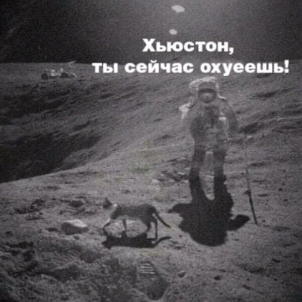 Нуштош 06.04.2023