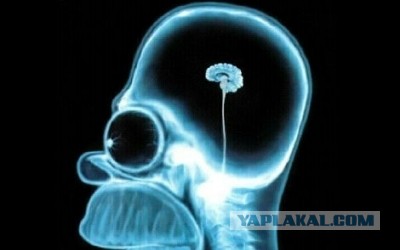 "Медведев – это маленький гопник, которого используют, как шута при царе", – сказали в офисе президента Украины