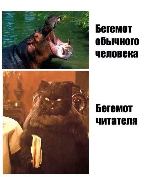 Всего понемногу. От 06.05