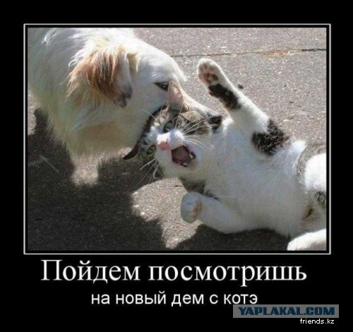 Пятая подборка самых баянистых баянов! Ностальгируем...