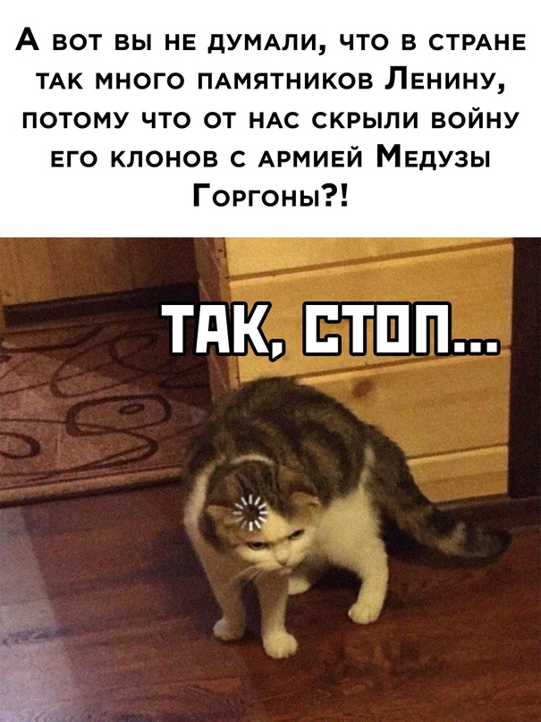 Весёлый полтишок 23.07.23