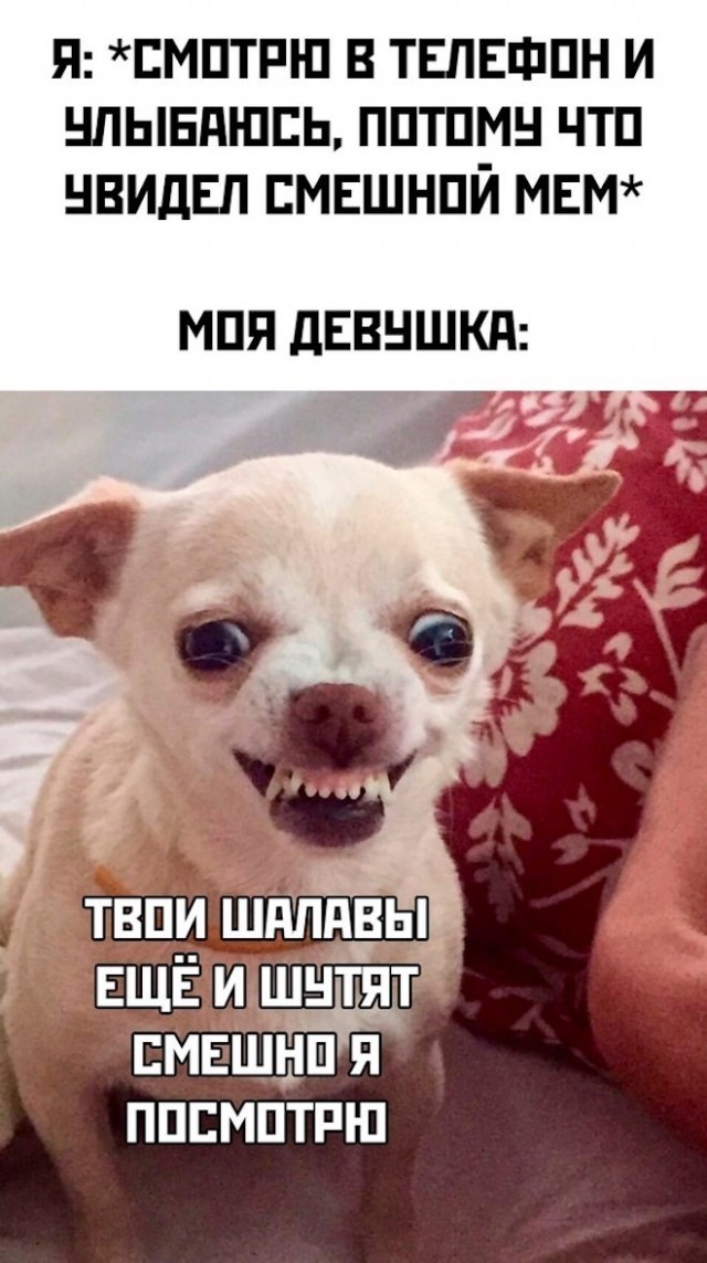 ТРРРидцать тРРРи от 3 апреля