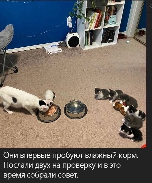 Всего понемногу. От 17.04.24.