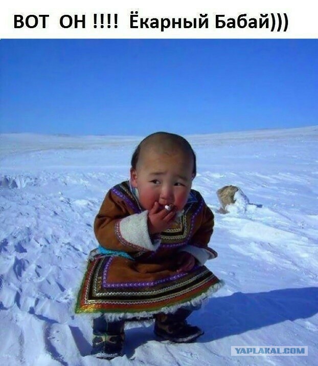Сколько-то картинок