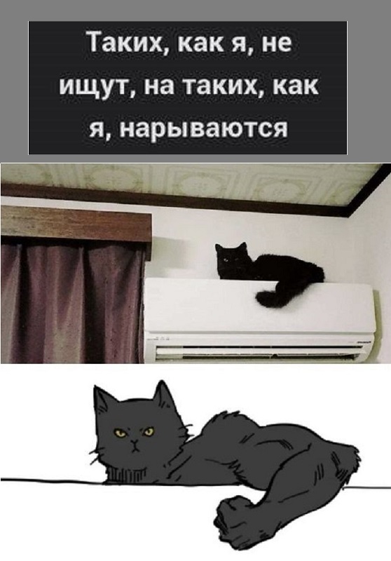 Картинки разные с надписями и без