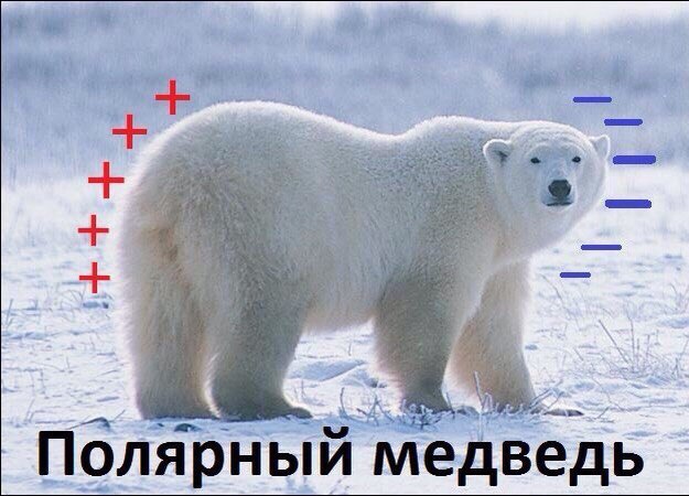 20 биологических качеств, в которых женщины куда лучше мужчин