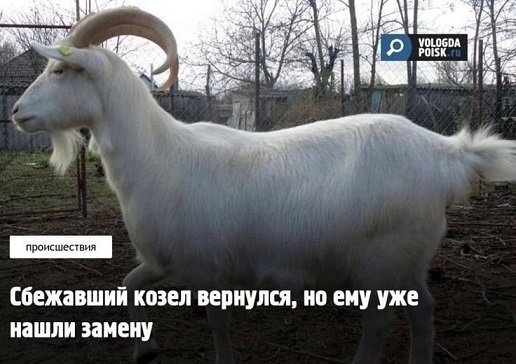 Расскажи мне про море