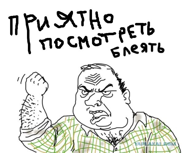 Солидарность на дороге