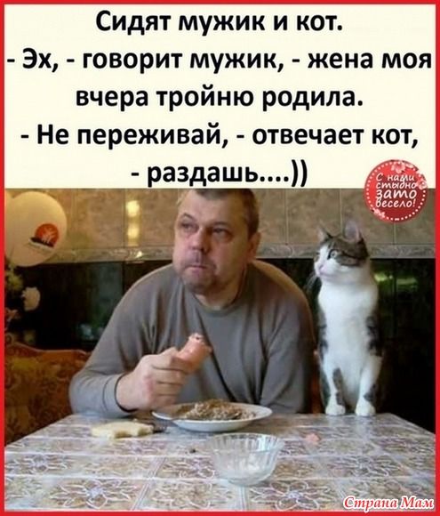 Всего понемногу. От 10.02.2025