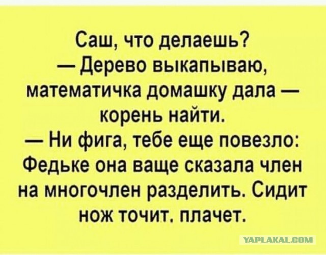 Так себе картинки 13.02.25
