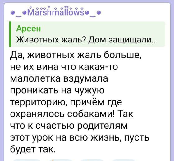 Появилось видео нападения собак на девочку