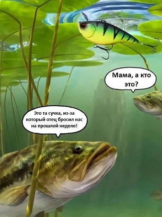 Тушенку будешь?