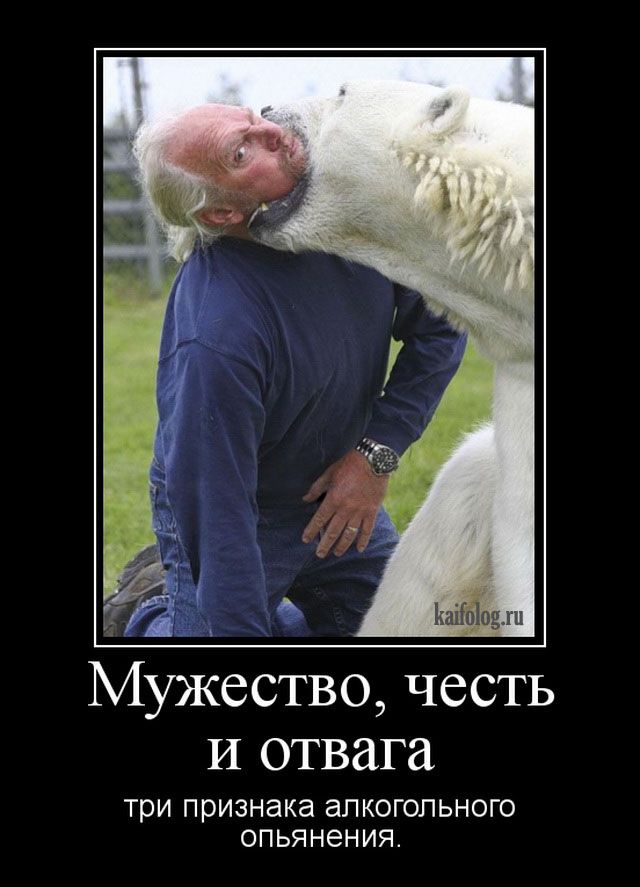 Прикольные и просто красивые картинки 17.10.2025