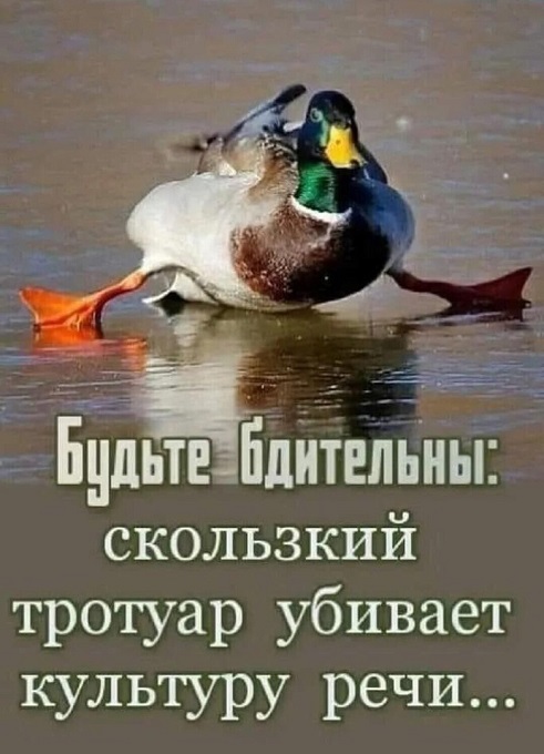 Картинки для деградации 94 (разной степени свежести)