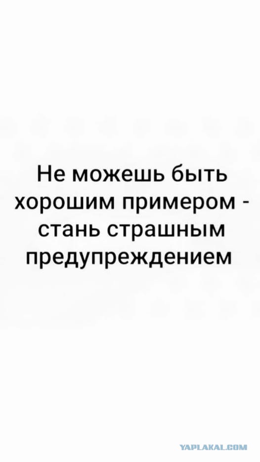 Субботние картинки