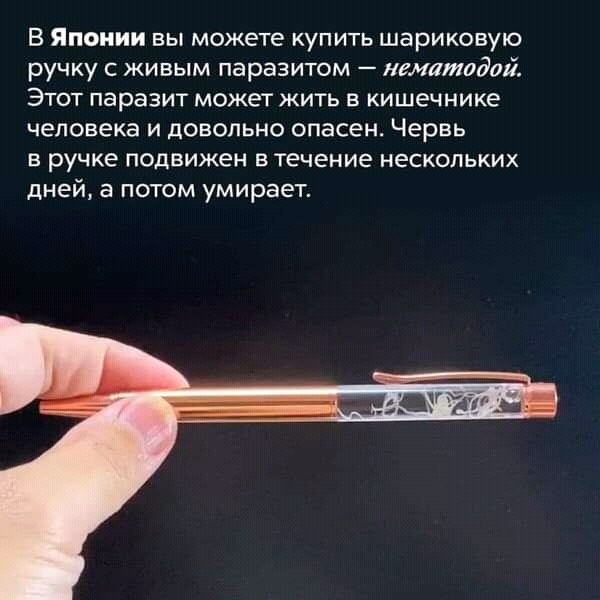 Так себе картинки 28.02.26
