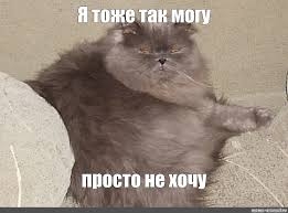 Японский продавец что-то заквадратил