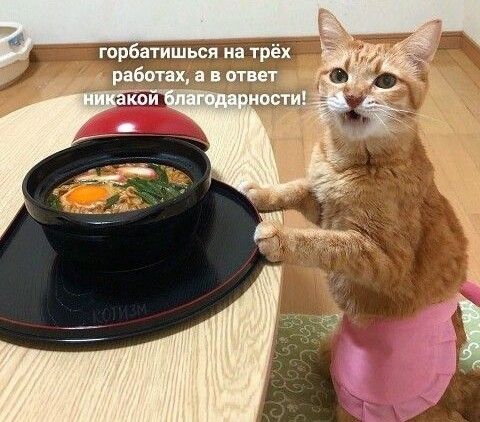 Немного картинок на ночь