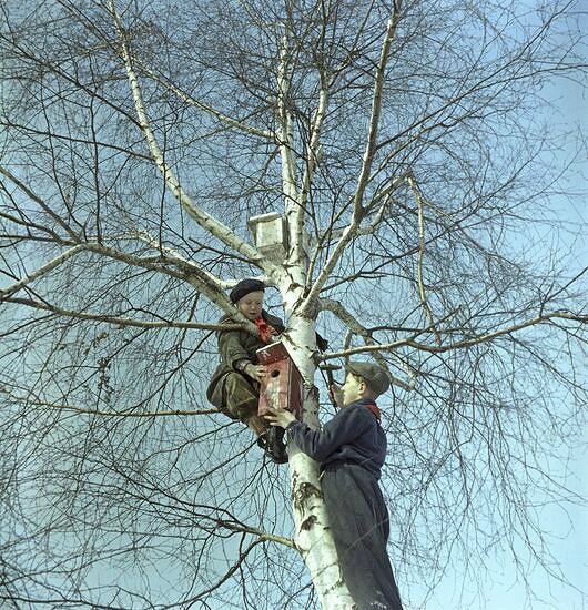 ​ Фотографии из прошлого нашей страны – 140