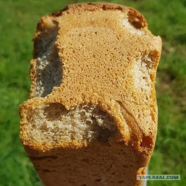 Гастрономические опыты детства СССР
