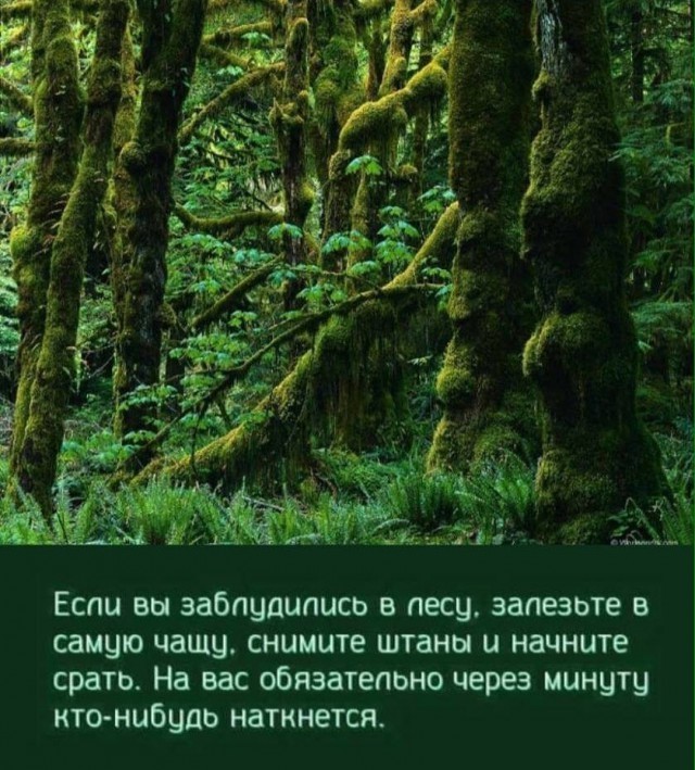 Картинки для деградации 251 (разной степени свежести)