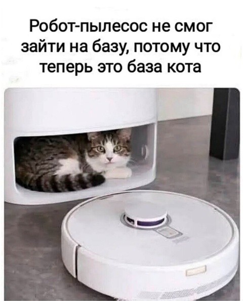 Так себе картинки 13.08.26