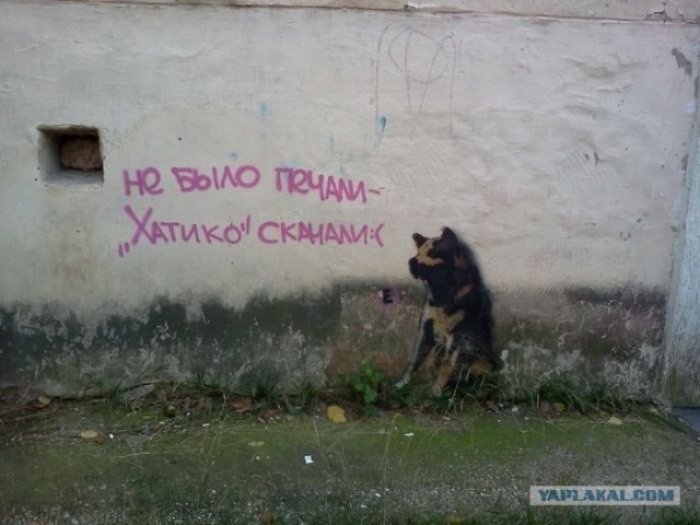 Живая верность