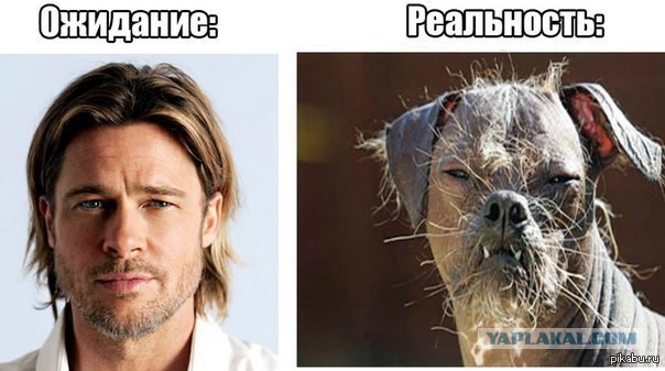 Борода у мужчин в России запрещена?