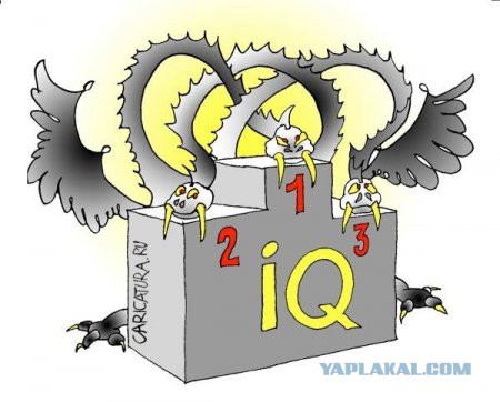 База пользователей ЯПа