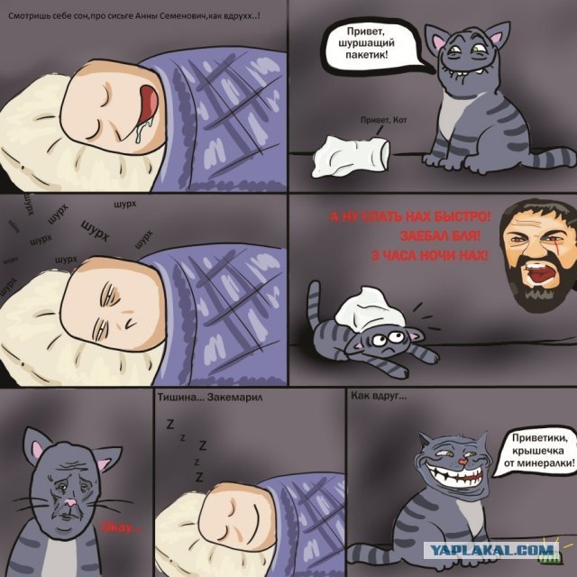 Памятка кота