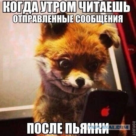 Весёлое из сети