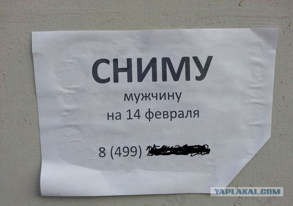 Забавные картинки из интернетов