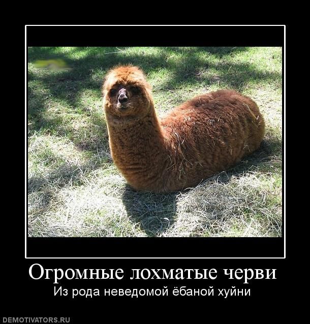Есть следопыты на ЯПе?