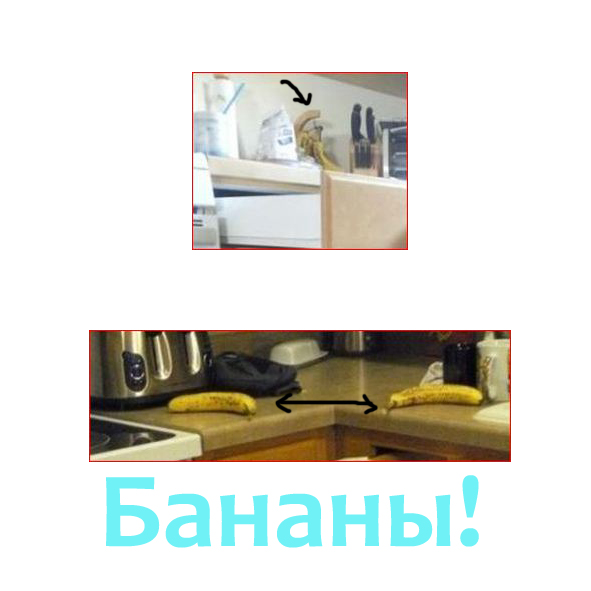 Страховка не подвела