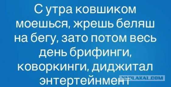Общество сознания хамона