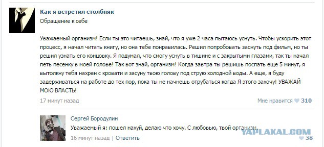 Смешные комментарии из социальных сетей