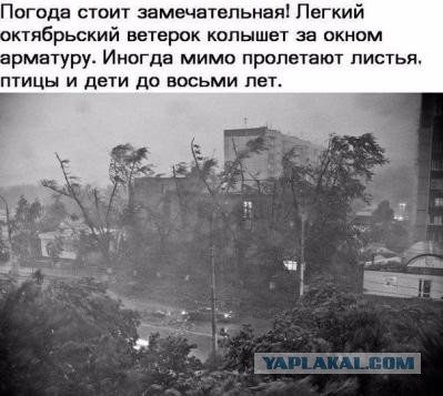 А что у вас за погода сейчас?