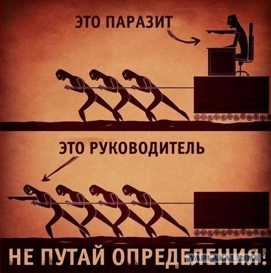 Машины Владимира Путина