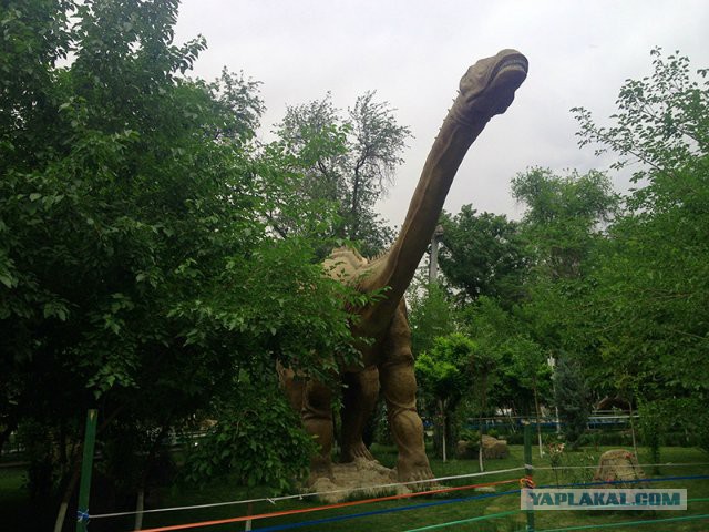 Туркменский транзит