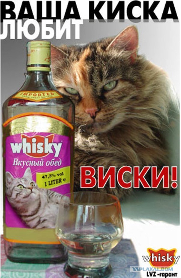 Подборка веселых картинок