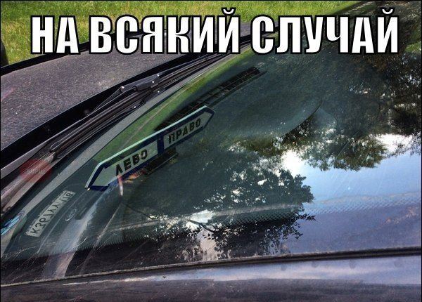 Подборка прикольных фото на пятницу