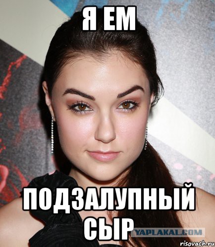 Плесень за 7 тысяч